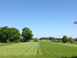 Shapwick House Grounds

