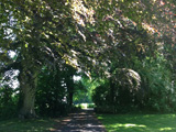 Shapwick House Grounds
