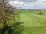 Shapwick House Grounds
