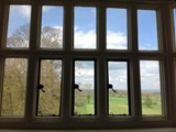 Shapwick House Grounds
